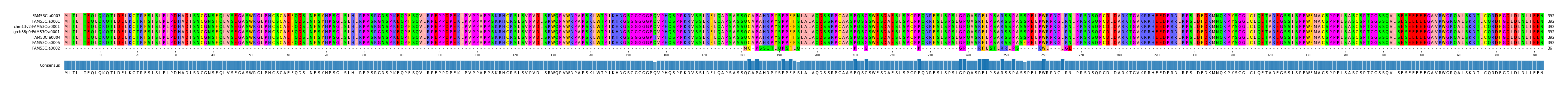 Multiple Alignments (by translate haplotype similarity)
