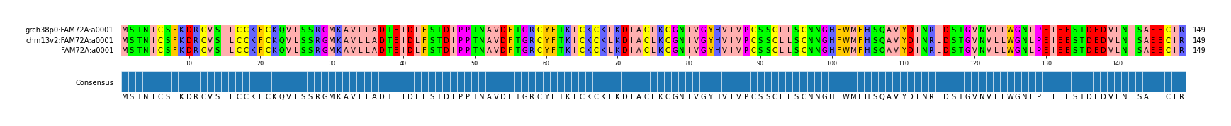 Multiple Alignments (by translate haplotype similarity)