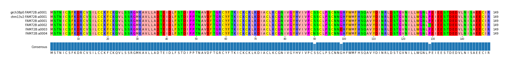 Multiple Alignments (by translate haplotype frequency)