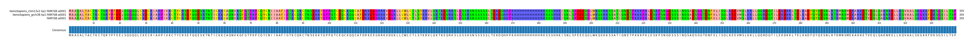 Multiple Alignments (by translate haplotype similarity)