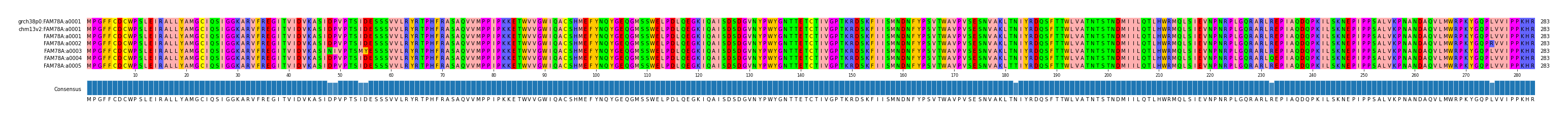 Multiple Alignments (by translate haplotype frequency)