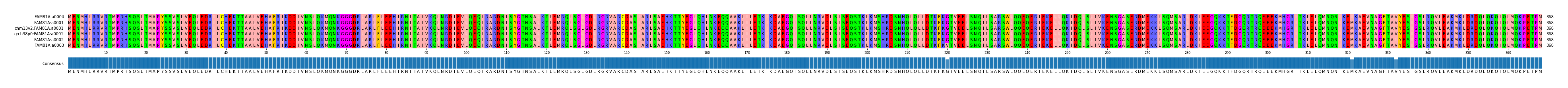 Multiple Alignments (by translate haplotype similarity)