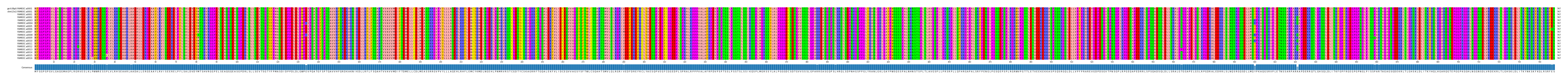Multiple Alignments (by translate haplotype frequency)
