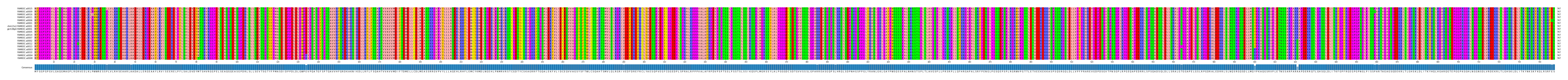 Multiple Alignments (by translate haplotype similarity)