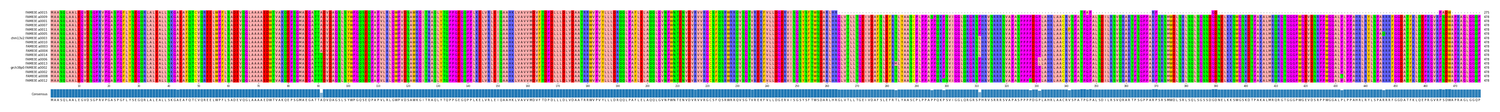 Multiple Alignments (by translate haplotype similarity)