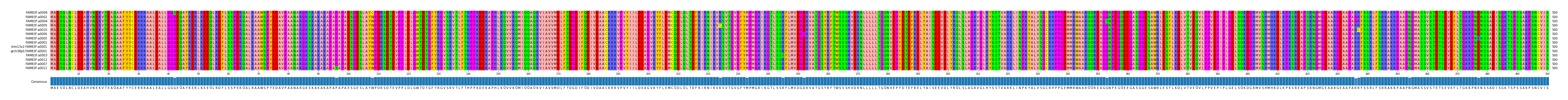 Multiple Alignments (by translate haplotype similarity)