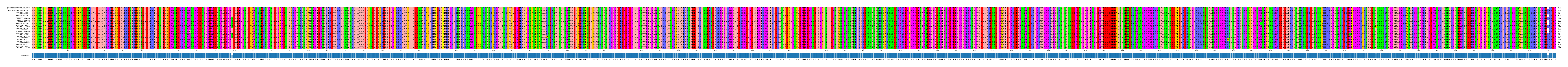 Multiple Alignments (by translate haplotype frequency)