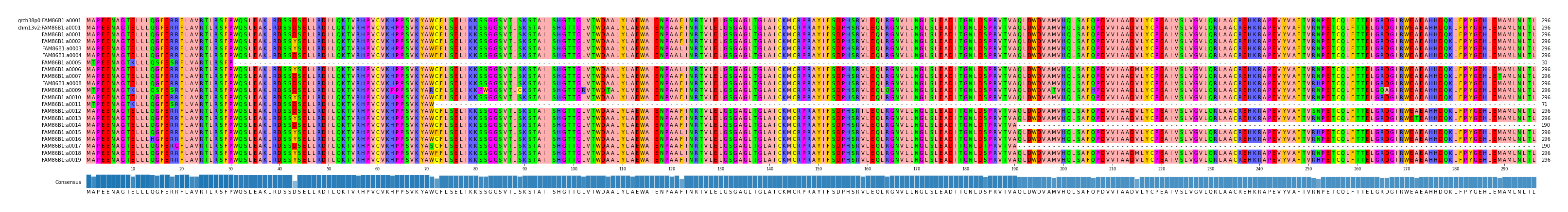 Multiple Alignments (by translate haplotype frequency)