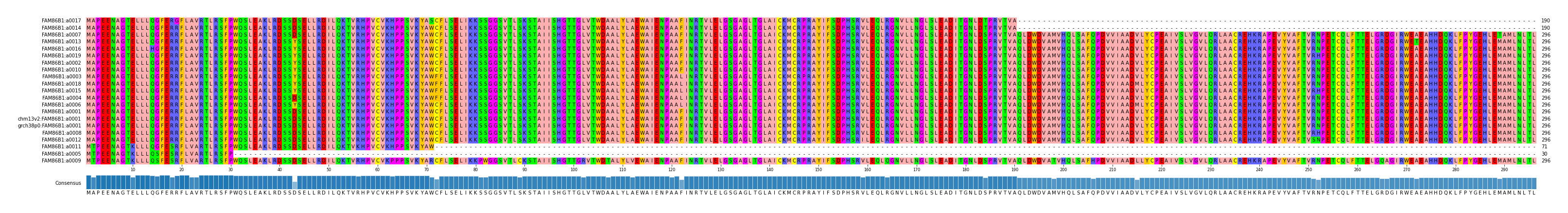 Multiple Alignments (by translate haplotype similarity)