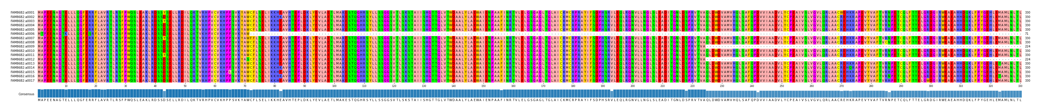 Multiple Alignments (by translate haplotype frequency)