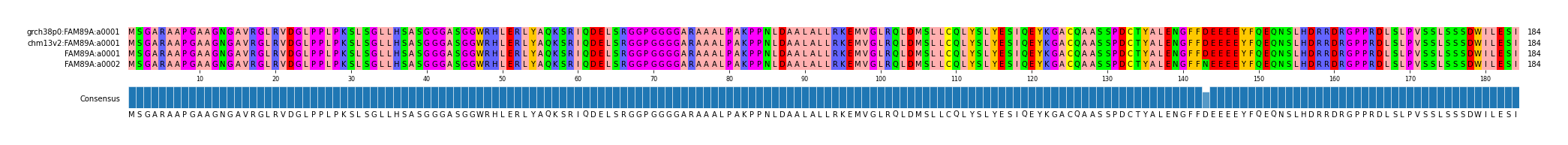 Multiple Alignments (by translate haplotype similarity)