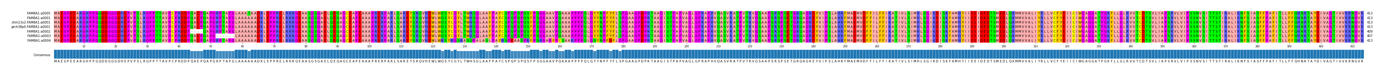 Multiple Alignments (by translate haplotype similarity)
