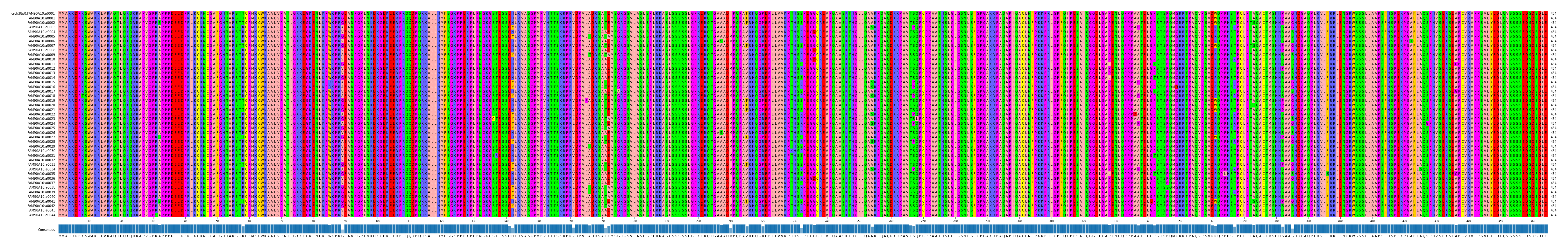 Multiple Alignments (by translate haplotype frequency)