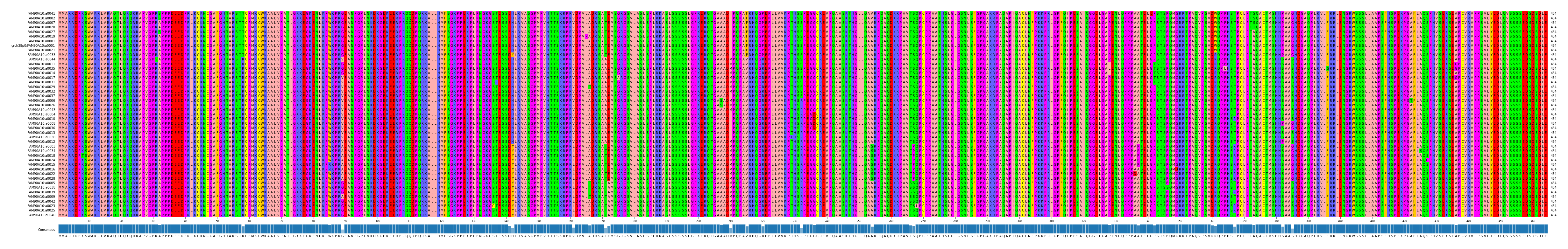 Multiple Alignments (by translate haplotype similarity)