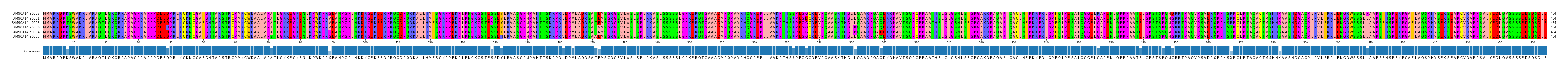 Multiple Alignments (by translate haplotype similarity)