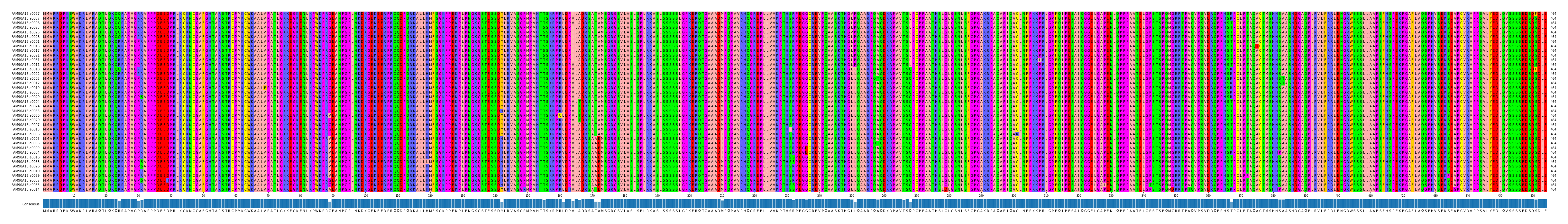 Multiple Alignments (by translate haplotype similarity)