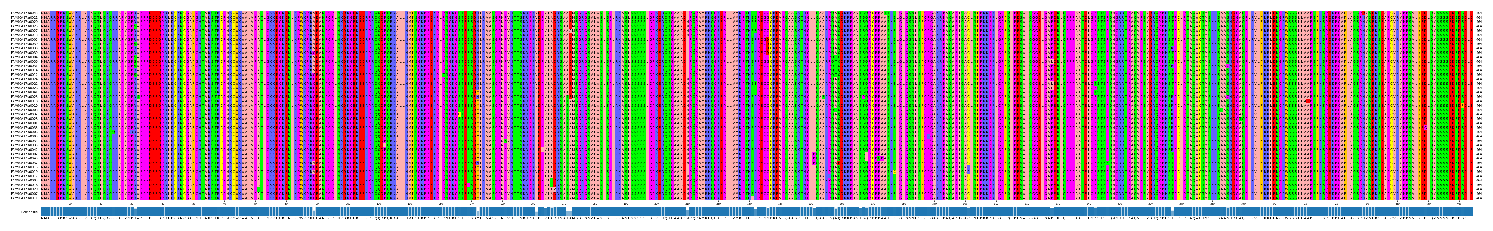 Multiple Alignments (by translate haplotype similarity)