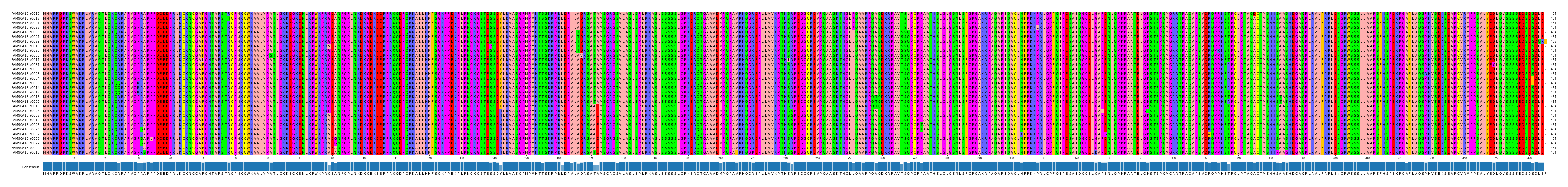 Multiple Alignments (by translate haplotype similarity)