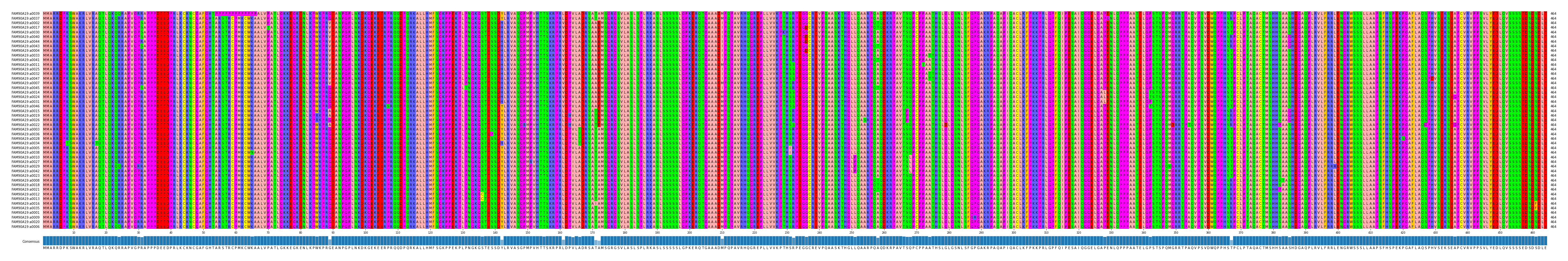 Multiple Alignments (by translate haplotype similarity)