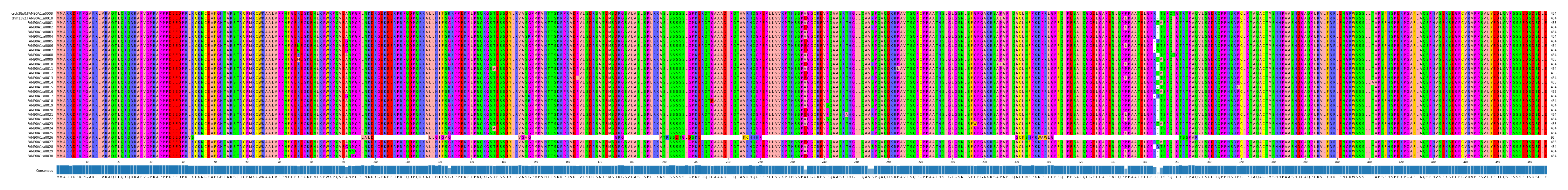 Multiple Alignments (by translate haplotype frequency)