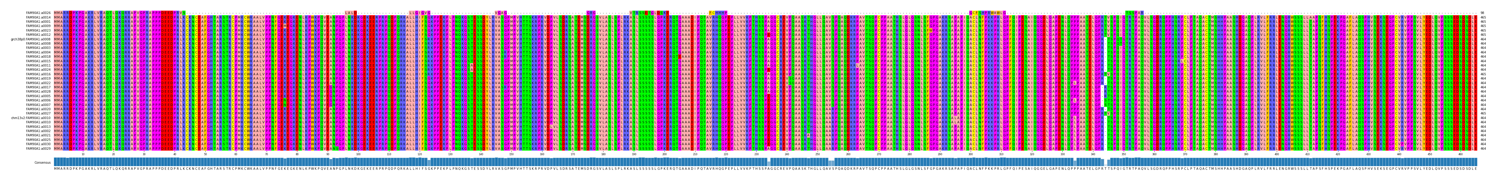 Multiple Alignments (by translate haplotype similarity)