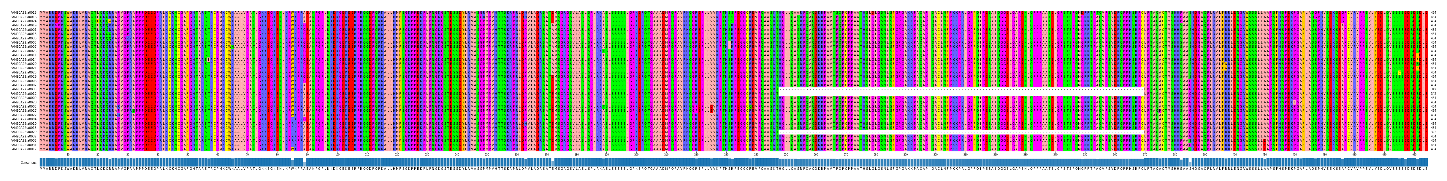 Multiple Alignments (by translate haplotype similarity)