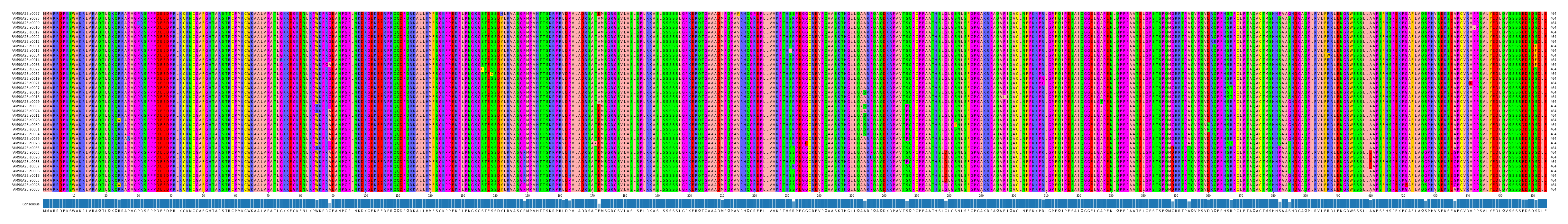 Multiple Alignments (by translate haplotype similarity)