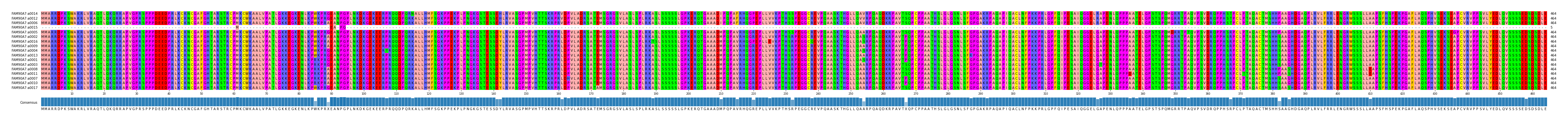 Multiple Alignments (by translate haplotype similarity)