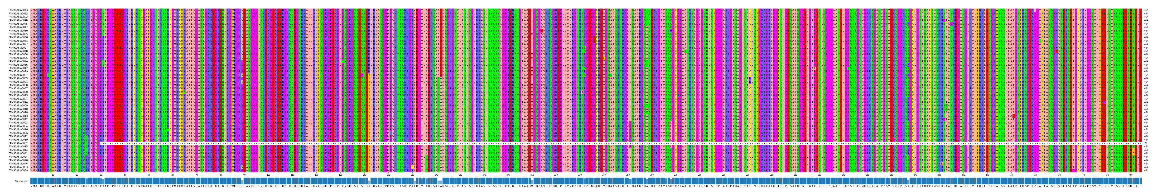 Multiple Alignments (by translate haplotype similarity)