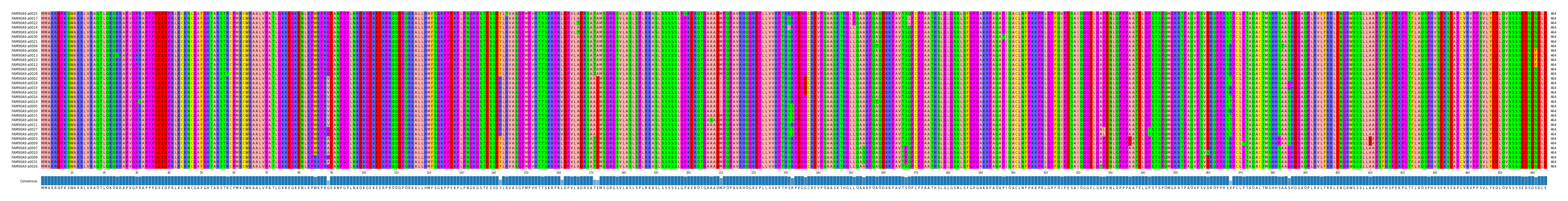 Multiple Alignments (by translate haplotype similarity)