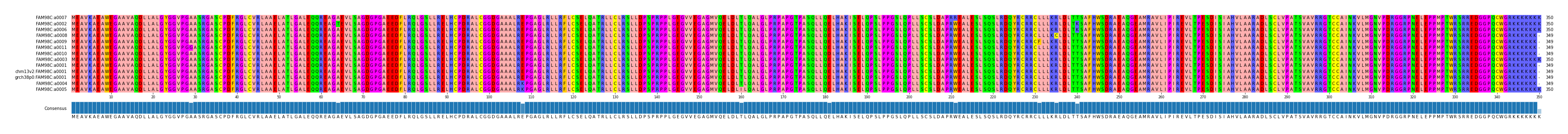 Multiple Alignments (by translate haplotype similarity)