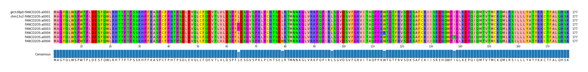 Multiple Alignments (by translate haplotype frequency)