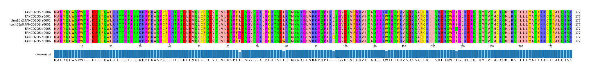 Multiple Alignments (by translate haplotype similarity)