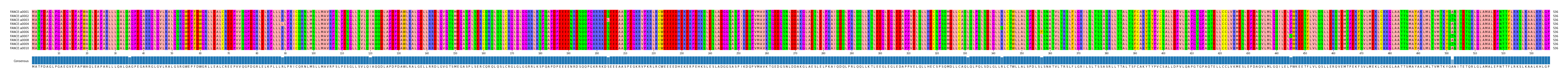 Multiple Alignments (by translate haplotype frequency)
