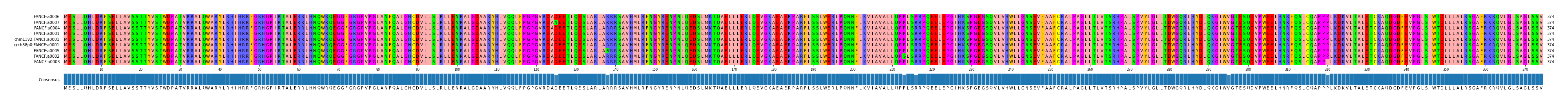 Multiple Alignments (by translate haplotype similarity)