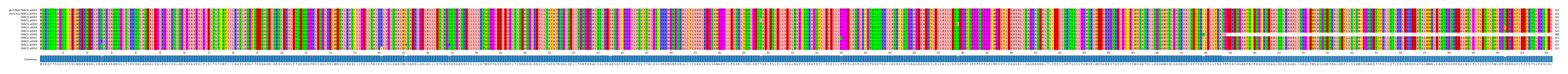 Multiple Alignments (by translate haplotype frequency)