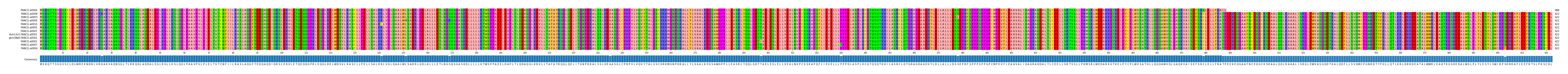 Multiple Alignments (by translate haplotype similarity)