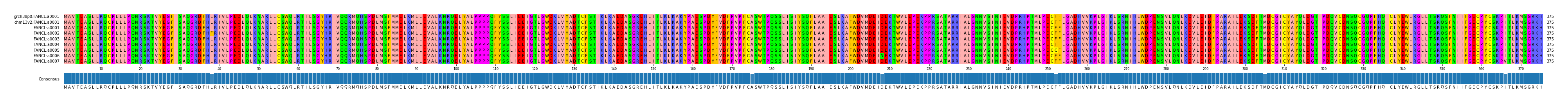 Multiple Alignments (by translate haplotype frequency)