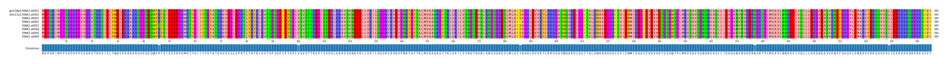 Multiple Alignments (by translate haplotype frequency)