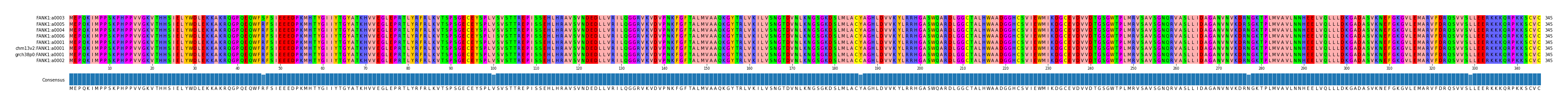 Multiple Alignments (by translate haplotype similarity)