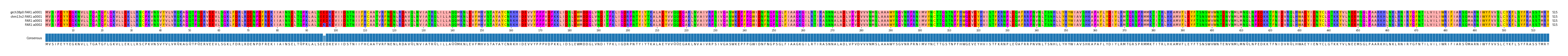 Multiple Alignments (by translate haplotype similarity)
