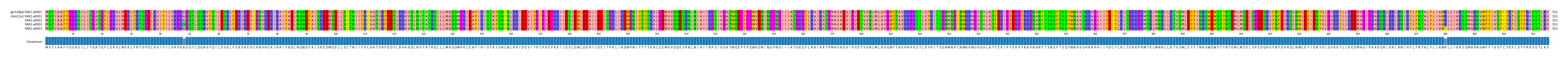 Multiple Alignments (by translate haplotype frequency)