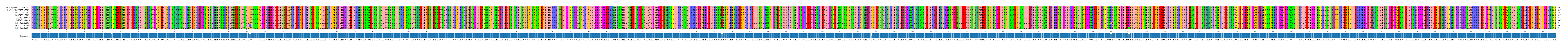 Multiple Alignments (by translate haplotype frequency)
