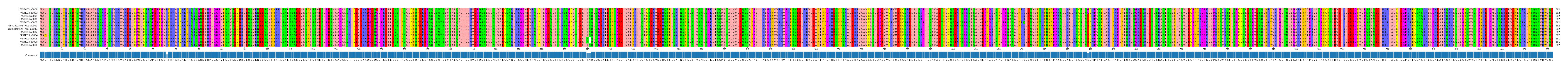 Multiple Alignments (by translate haplotype similarity)