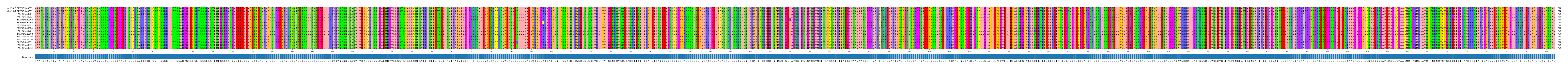 Multiple Alignments (by translate haplotype frequency)