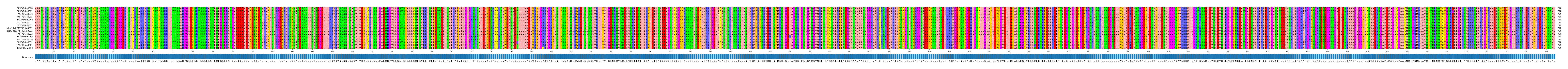 Multiple Alignments (by translate haplotype similarity)