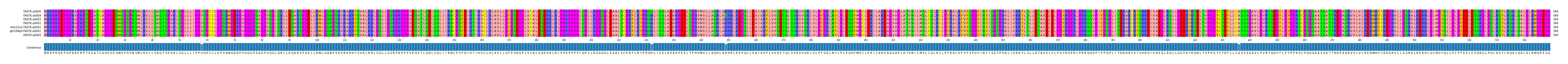 Multiple Alignments (by translate haplotype similarity)
