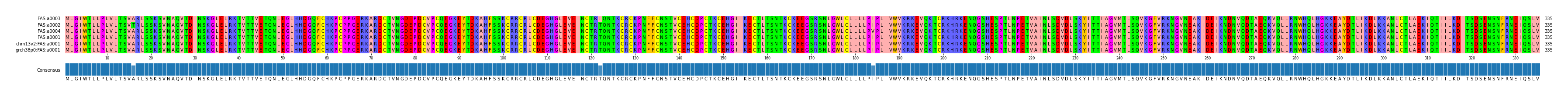 Multiple Alignments (by translate haplotype similarity)