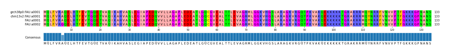 Multiple Alignments (by translate haplotype similarity)