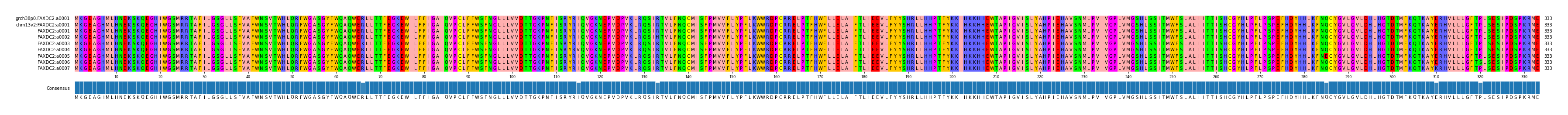 Multiple Alignments (by translate haplotype frequency)